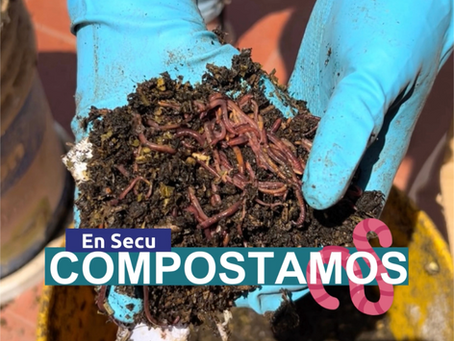 Compost: ¿Cómo reducir los residuos orgánicos de tu empresa?