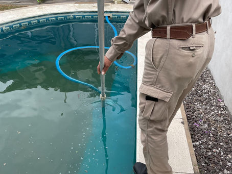 ¿Cómo evitar que el agua de la piscina se vuelva verde?