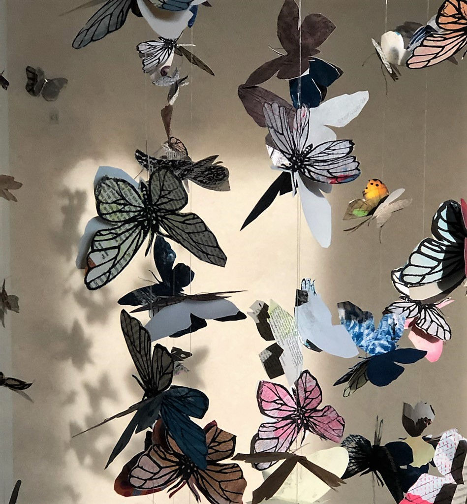365 Butterflies