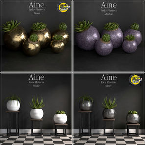 AINE Weekend Sales - Apr 17-19