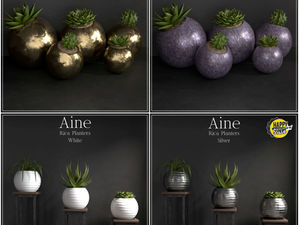 AINE Weekend Sales - Apr 17-19