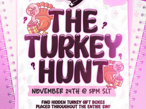 Girl Code HUNT coming Nov 24th!
