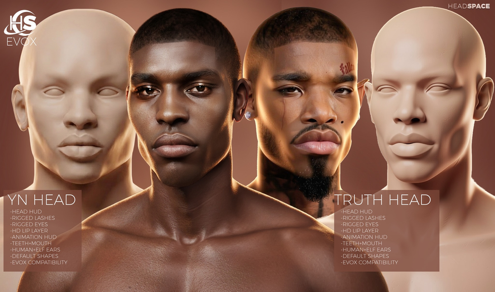 Dual Identity: Yn & Truth Mesh Heads