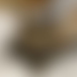 たてものたんぼう?