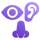 Asset 1_2x.png