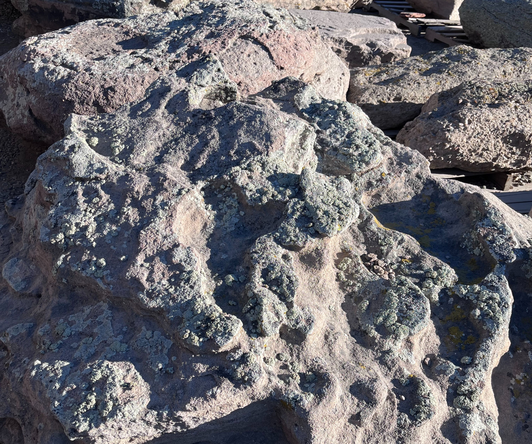 CO Green Mossy Boulders