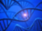 gene_helix-157719137-58a0bbac3df78c4758fadf02.jpg
