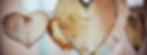 heart-635667_1920.jpg