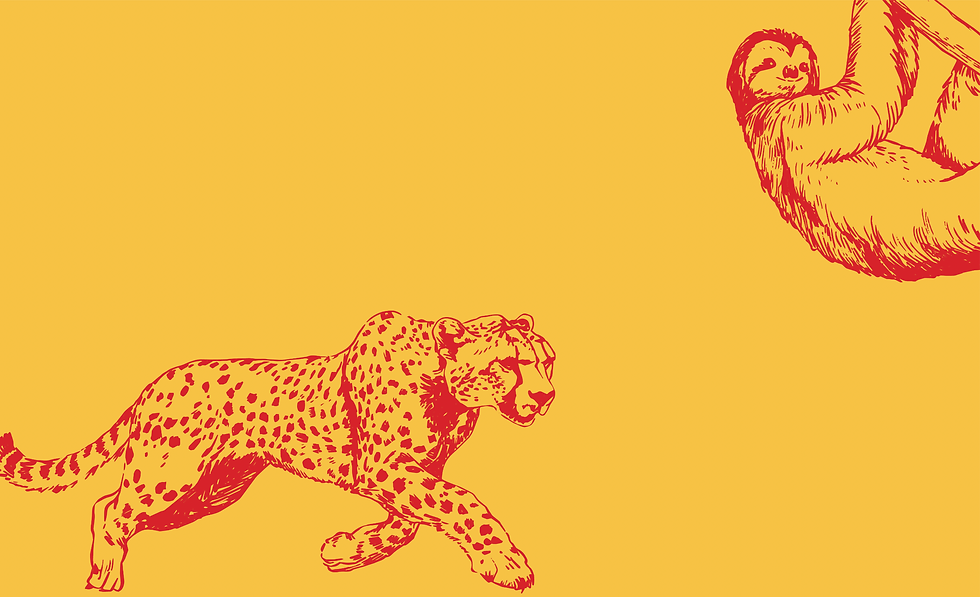 slothcheetah_fullcover-BKG_edited.png