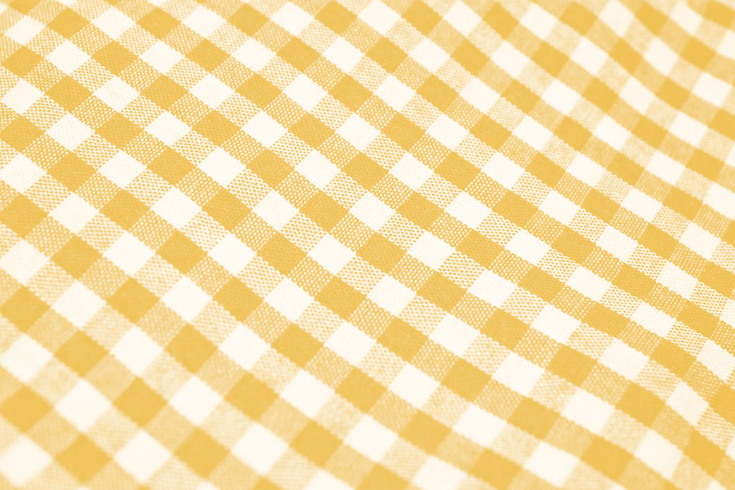 dagny-reese-tTM1K94ZzhE-unsplash-YELLOW.jpg