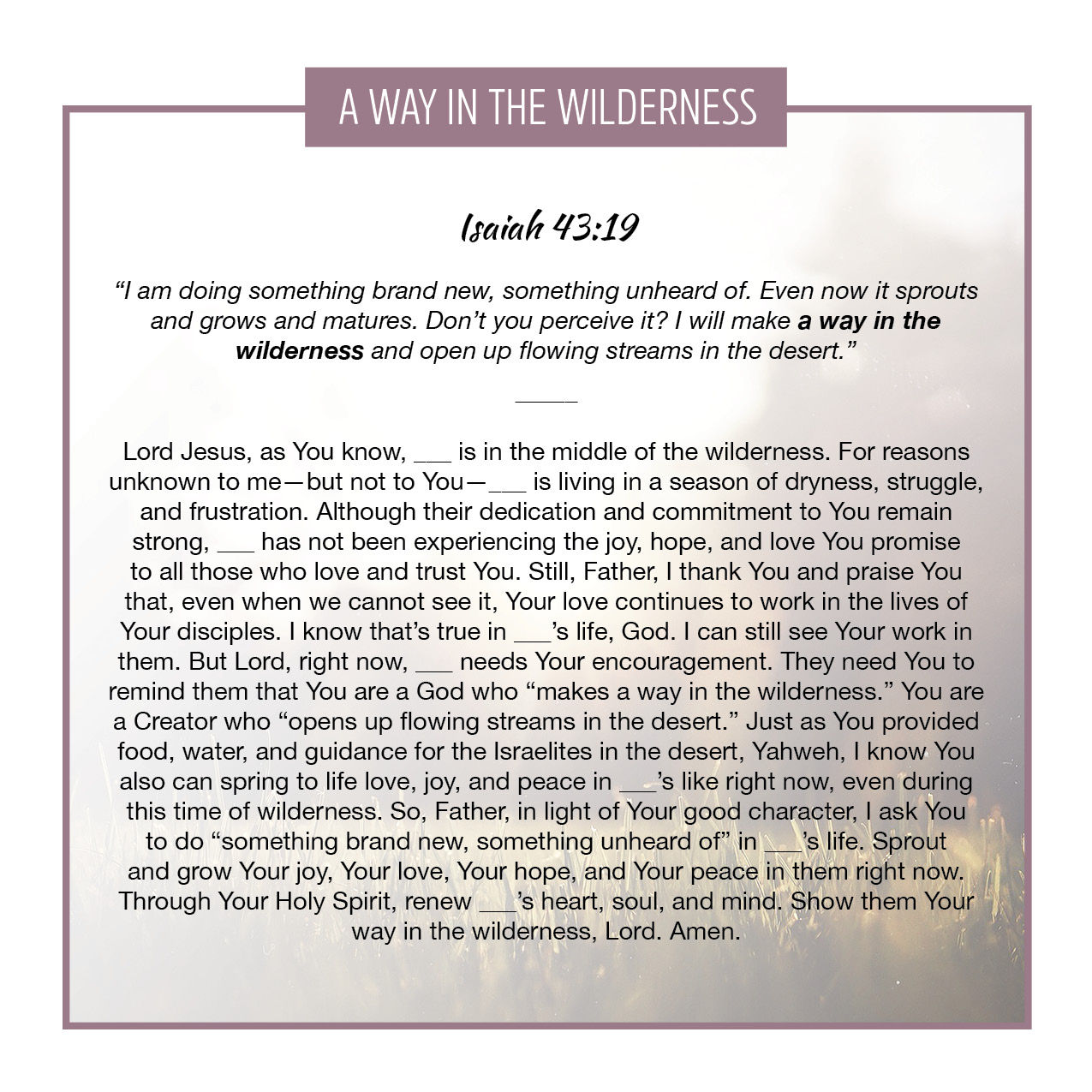 A Way in the Wilderness