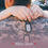 Thumbnail: Military Spouse eBook