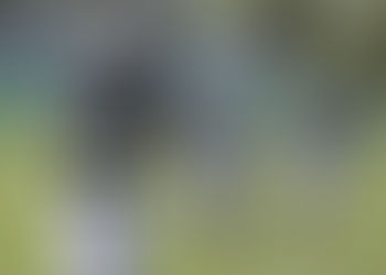 How Marcus Maye's replacement, Doug Middleton, conquered obstacles of going undrafted | Jets Q&a