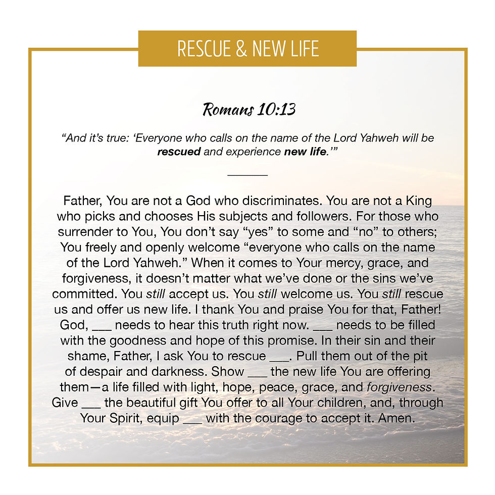Thumbnail: Rescue & New Life