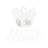 Halle’s Harvests garden design and installation in Seattle