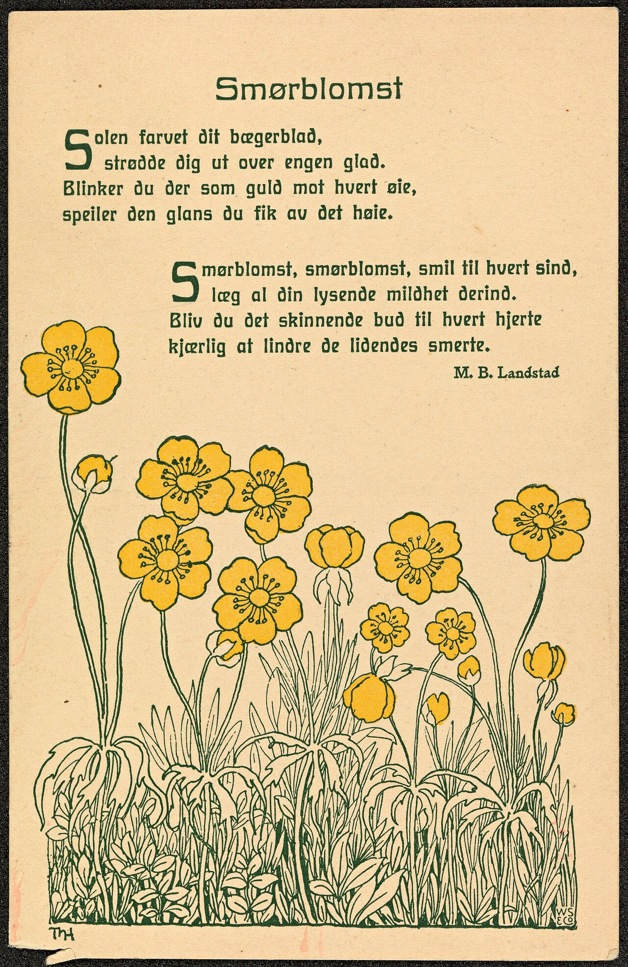 Düğünçiçeği - Thorolf Holmboe Tablo