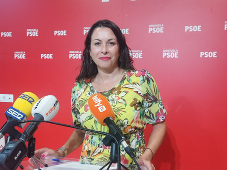 La Sindicatura de Agravios recuerda a Vegara que su potestad es limitada y da la razón al PSOE recomendando la vuelta al sistema anterior de acceso a información de la Oposición