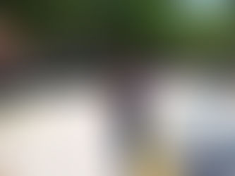 El PSOE propone un Plan de Sombra para hacer parques y plazas de Orihuela, sus pedanías y costa. 