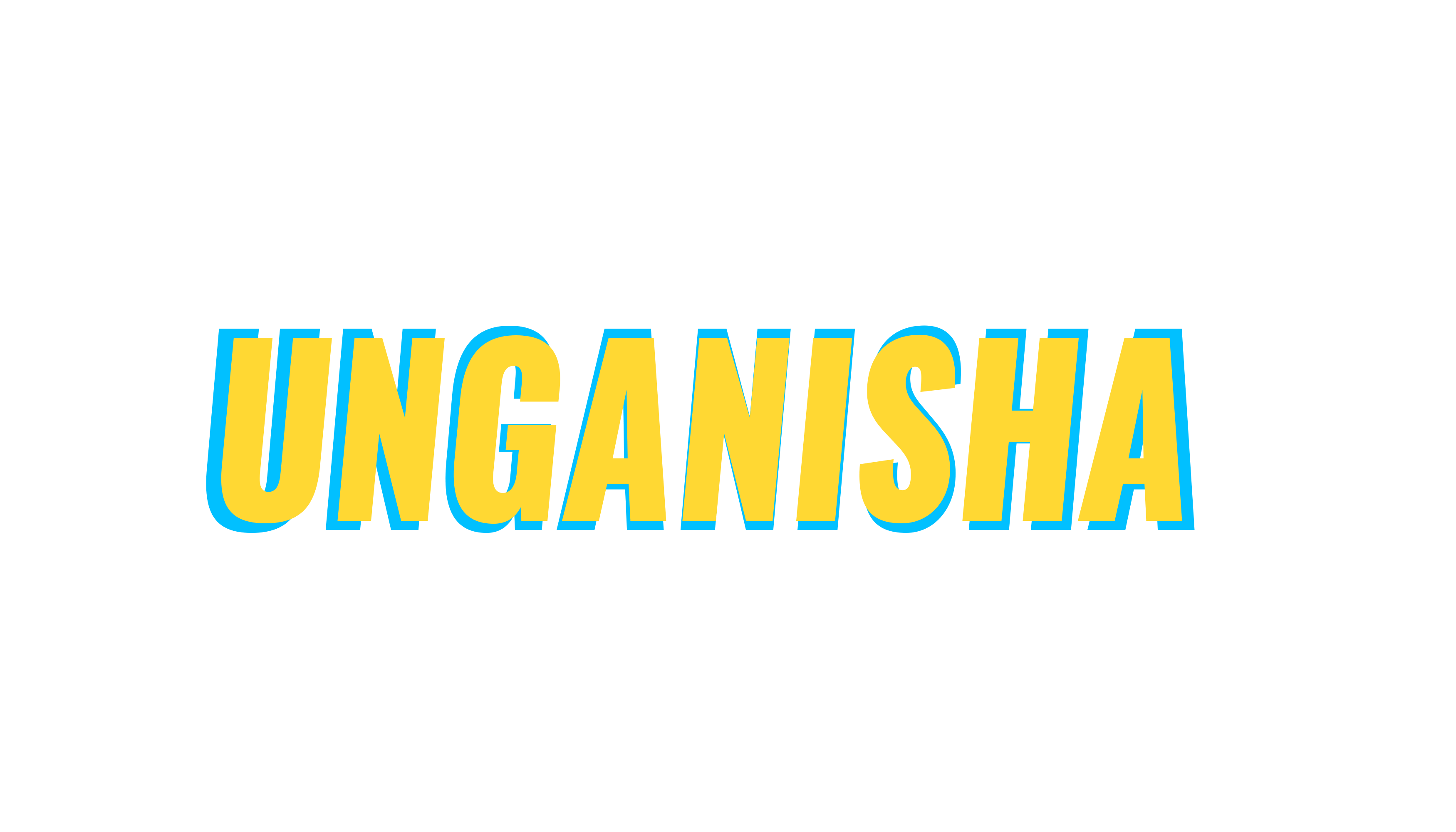 Unganisha-Title-NoBar.gif