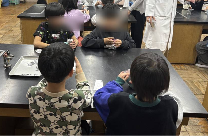 2025年12月「光と雪のイルミネーション」