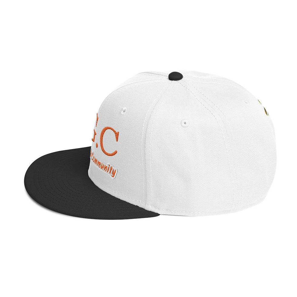 Thumbnail: Digital Growth Community Snapback