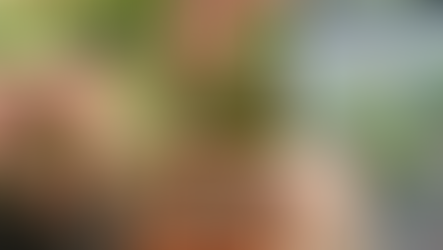 ไม้ตัดชำ vs ไม้เมล็ด vs ไม้เพาะเลี้ยงเนื้อเยื่อ : ความแตกต่างที่ผู้ปลูกควรรู้ก่อนตัดสินใจ