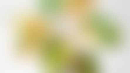 “เสน่ห์จันทร์บุษราคัมมิ้นท์” (Homalomena Rubescens Mint): อัญมณีแห่งไม้ใบ สวยสะกดตา บูชาเสริมเสน่ห์