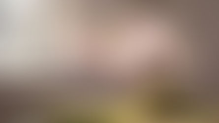 Plants Have "Secret Scents": How 'VOCs' Act as Invisible Healers for Your Home