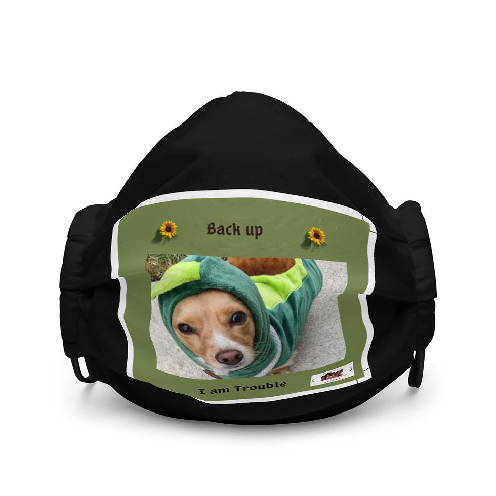 Thumbnail: Premium face mask
