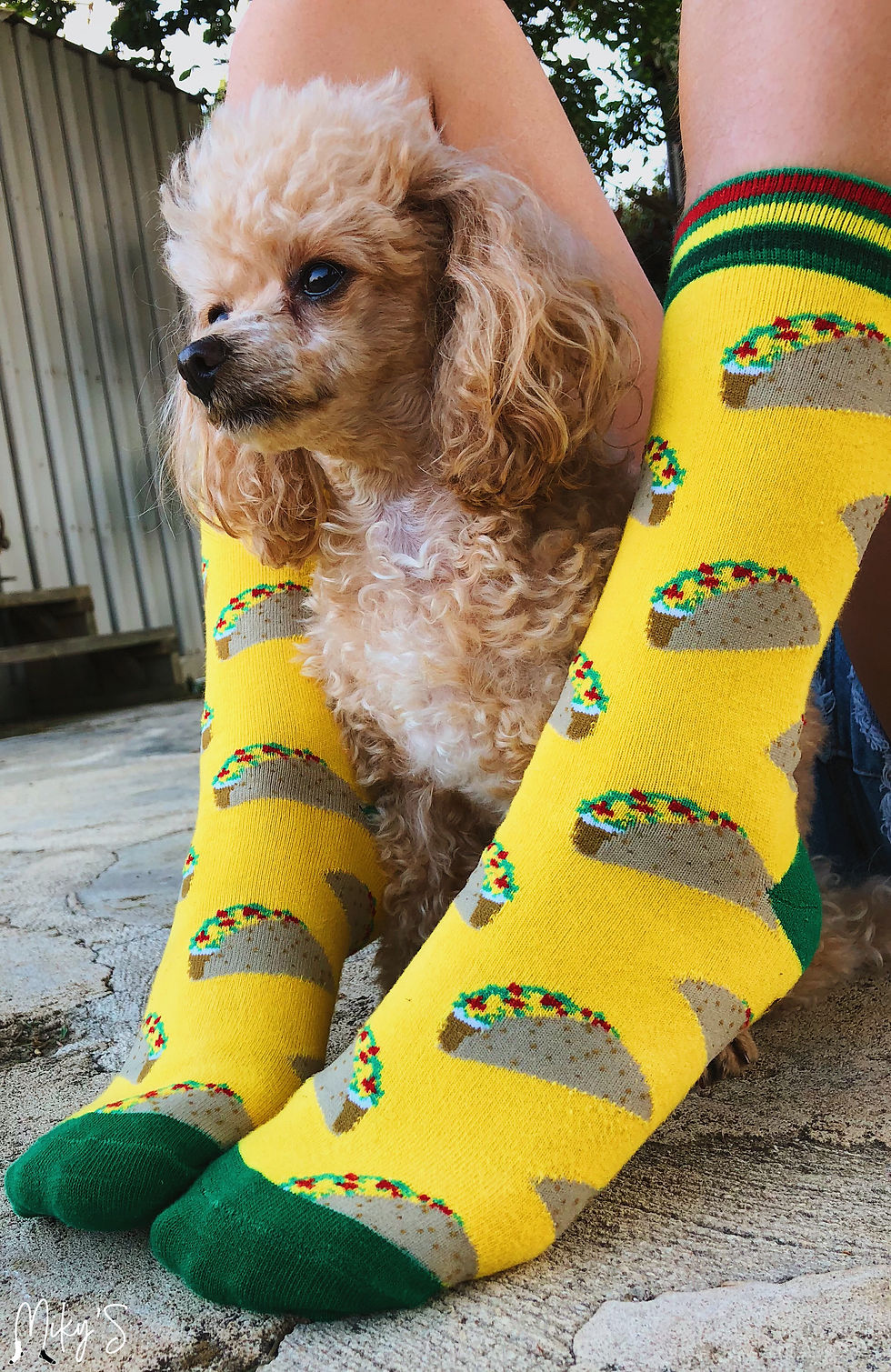 Thumbnail: I LOVE TACOS