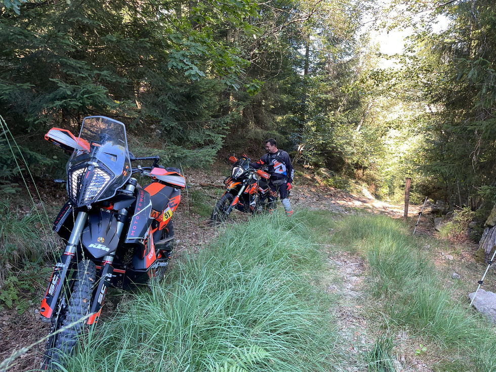 Auf Abwegen in den Wäldern von La Bresse