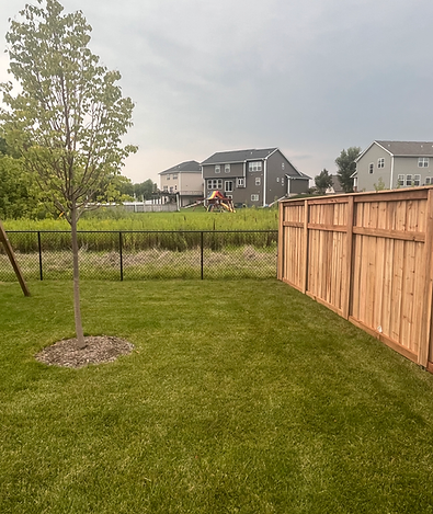 Chain link cedar fence twin cities