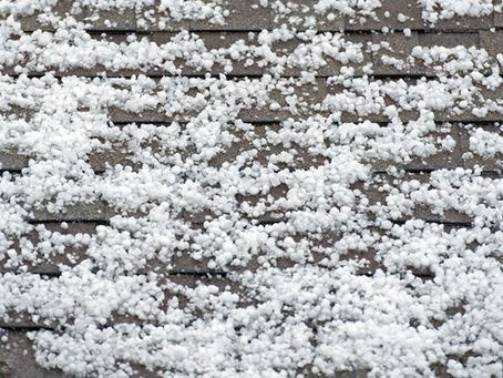 Close-up photo of hail damage on asphalt shingles showing bruising, missing granules, and impact marks.