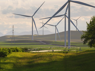 RYE Joined The Fast & Fair Renewable & Grids Initiative!