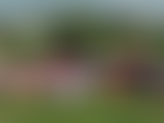 Planting Ideas, Cultivating the Future