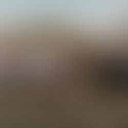 European Rural Youth Forward Conference 2026 Empowers Young People to Co-Create Solutions for Rural Europe