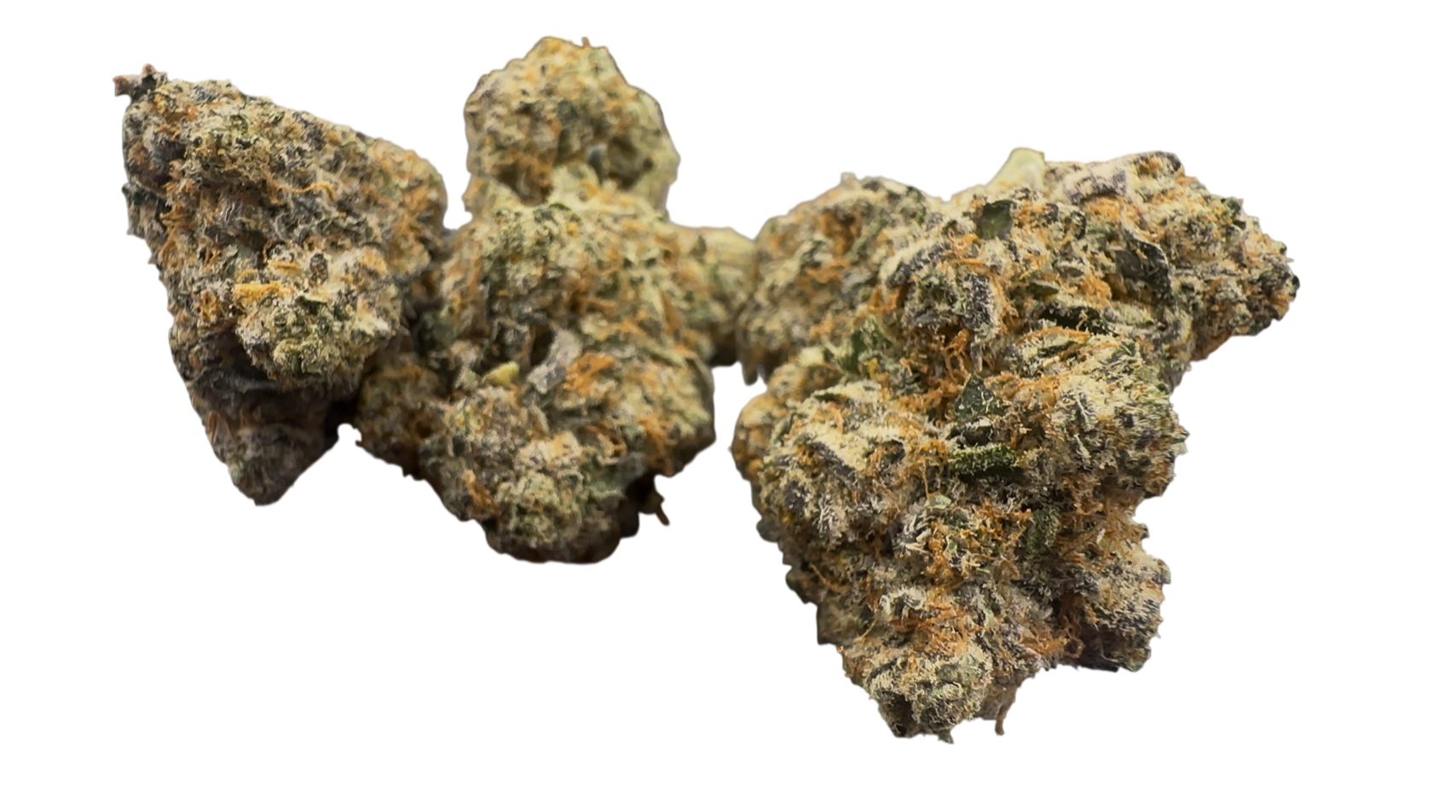 PURE MICHIGAN AAAA