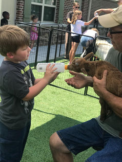 A8E3CE13-1790-4190-8304-86C7C2988396