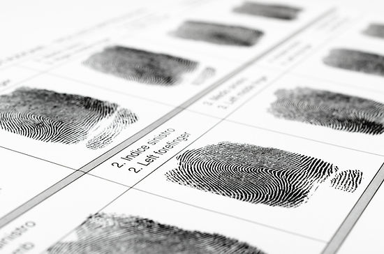 Fingerprints.jpg
