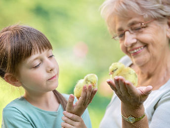 5 Unique Emotional Support Animals for Seniors