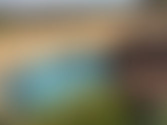 Do Rural Properties Have Different Pool Compliance Rules in Victoria?