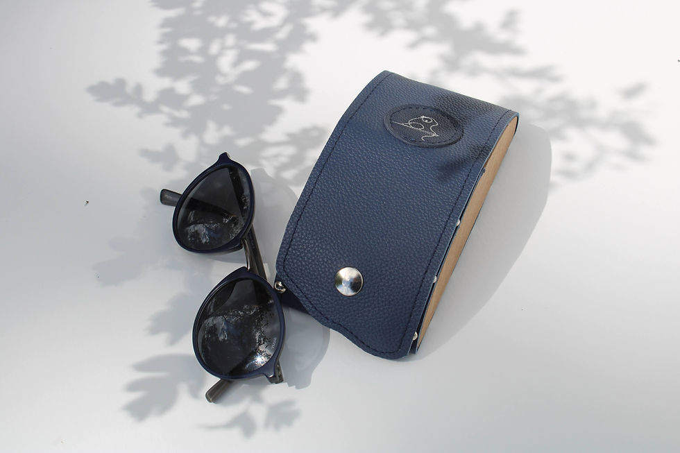 Miniature : Boite à Lunettes
