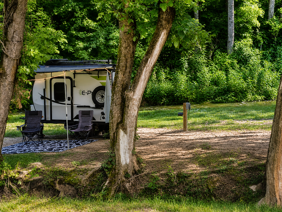 Small camper setup beside wooded creekside site