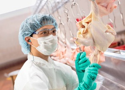 Food Processing.jpeg