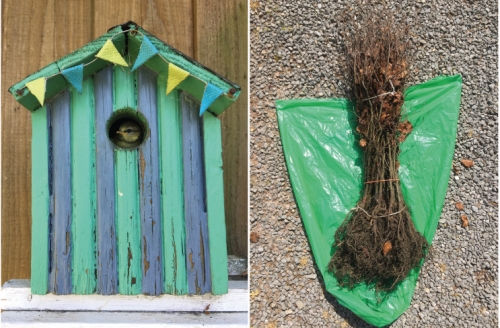 Bird boxes and tree planting at Long Hazel Park