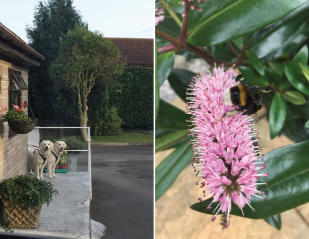 Somerset caravan park adults only eco friendly