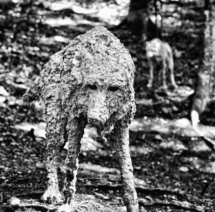Arte Sella012.jpg