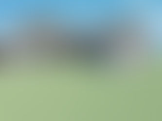 Custom Craftsman by Samuel Stevens & Associates