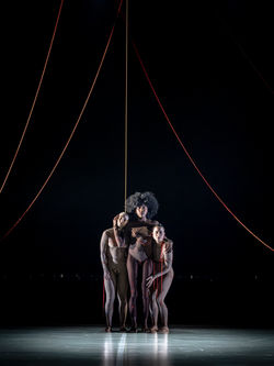 Copia de ©ÁUREO GÓMEZ_72