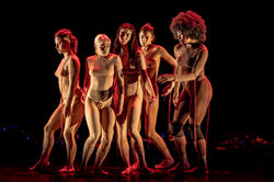 Copia de ©ÁUREO GÓMEZ_14